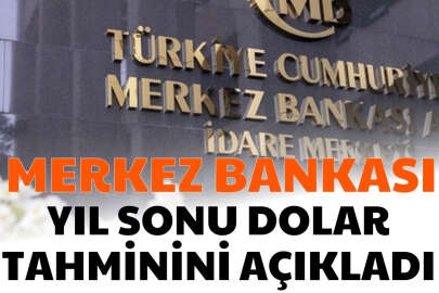 Merkez Bankasından Yıl Sonu Dolar ve Enflasyon Açıklaması