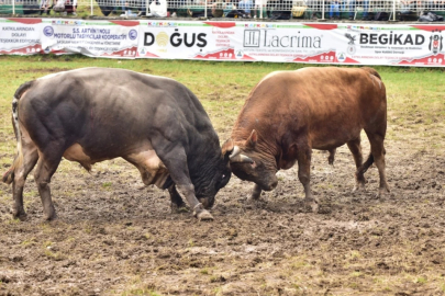 43.Kafkasör Kültür Sanat Festivali Renkli Görüntülere Sahne Oldu