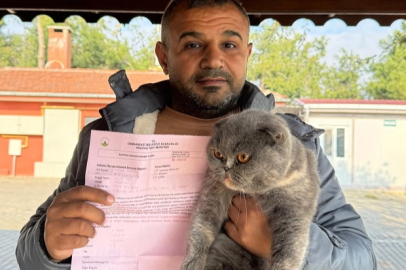 Osmangazi'de can dostlar sıcak yuvalara kavuştu