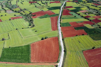 Tahıl üretimi 2024'te yüzde 7,5 azaldı
