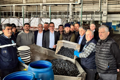 Bursa İznik'te Kaymakam Karaman'dan Zeytin Kooperatifi’ne ziyaret