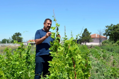 Ziraat Mühendisleri kendi çiftliklerini kurabilmesi için yeni projelerle teşvik edilmeli