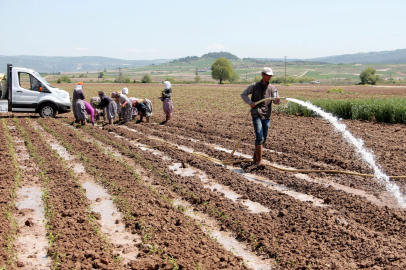 Yenişehir Ovası'ndan su krizi uyarısı! Yenişehir’de su seviyesi tehlikede!