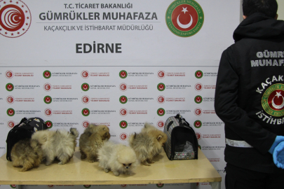 Gümrüklerde yılın ilk yarısında 35,5 milyar TL'lik kaçak eşya yakalandı... Gümrüklerde yakalamalar yüzde 199 arttı