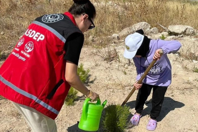 Gemlik'te aileler ve çocuklar orman ve doğa aşısı