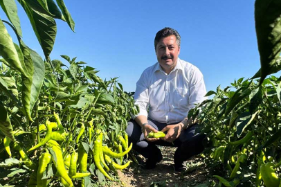 BAŞKAN ÖZEL, TARIM İŞÇİLERİNİ TARLADA ZİYARET ETTİ