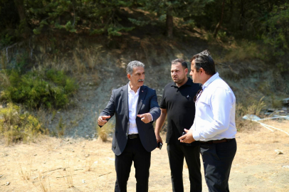 Gemlik'te Patili Canlar Merkezinde Çalışmalar Başladı