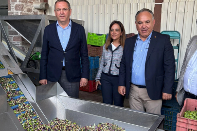 Ayvalık Ticaret Odası: Zeytinyağı ihracatında en büyük sorun markasızlık