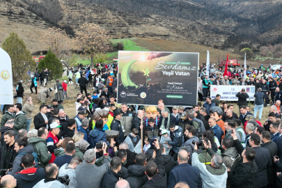 Gürsu’da yangın bölgesi yeniden hayat buluyor