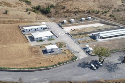 Orhangazi Belediyesi’nden Sokak Hayvanlarına Yönelik Çalışmalar Aralıksız Devam Ediyor