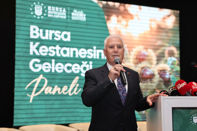 Bursa kestanesine Büyükşehir’den destek