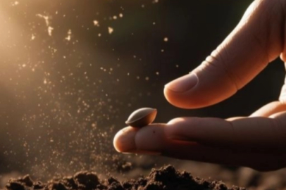 Tohumculuk sektöründeki 'Rekabet' soruşturması genişletildi... O soruşturmada yeni firmalar eklendi