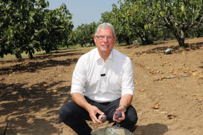 Mudanya Belediyesi’nden taşınmaz açıklaması: Satışa çıkan alanlar köy arazisi değil