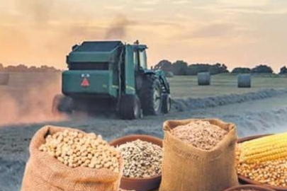 Tarım-ÜFE 2025'in son ayında da güçlü seyrini sürdürdü