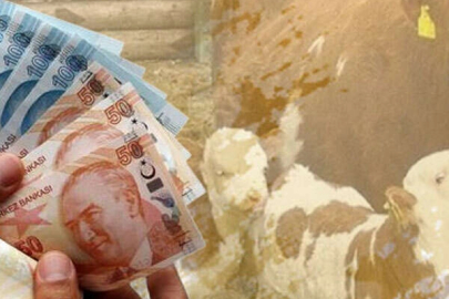 Çiftçilere 226 milyon TL destek hesaplarda!