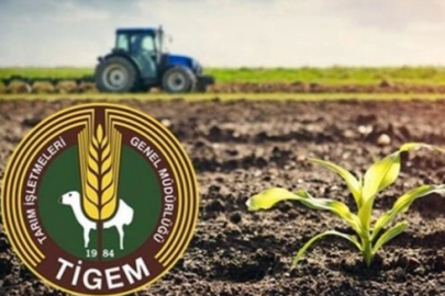 TİGEM Karacabey İşletmesi 98,7 ton kimyevi gübre alacak