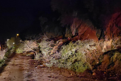 Mudanya-Kurşunlu yolunda geceyarısı heyelan! Yol ulaşıma kapandı