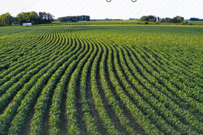 Tarım arazilerinin etkin kullanımı için hibe desteği