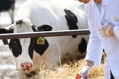 Tarımsal en yüksek girdi veteriner harcamaları zirvedeki yerini koruyor