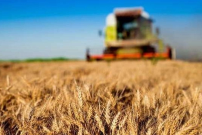 Kırsal kalkınmaya büyük destek... Tarım ve Orman'dan 30 milyon TL’ye kadar hibe!