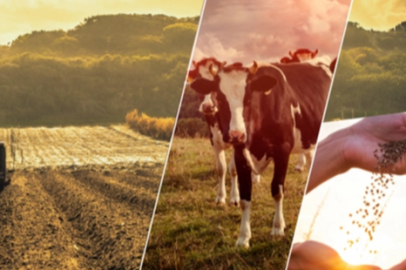 17,4 milyar TL'lik tarımsal destek çiftçilerin hesabında