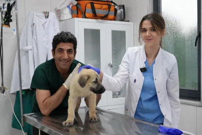 Gürsu ödüllü hayvan bakım merkezi can dostlara umut