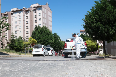 Osmangazi Belediyesi’nden Haşerelere Karşı Etkin Mücadele