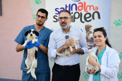 Kestel Belediyesi’nin “Sahiplen Kestel” Platformuyla Yuva Olmak Çok Kolay