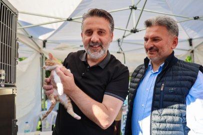 Büyükşehir'den can dostları için yuva seferberliği