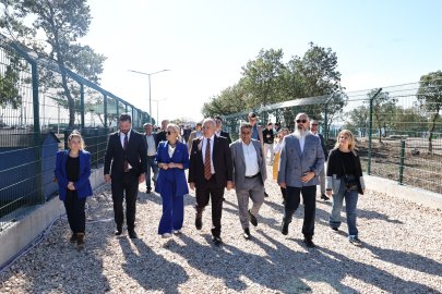 Nilüfer’de sahipsiz hayvanlar için “Umut Ağacı” açıldı